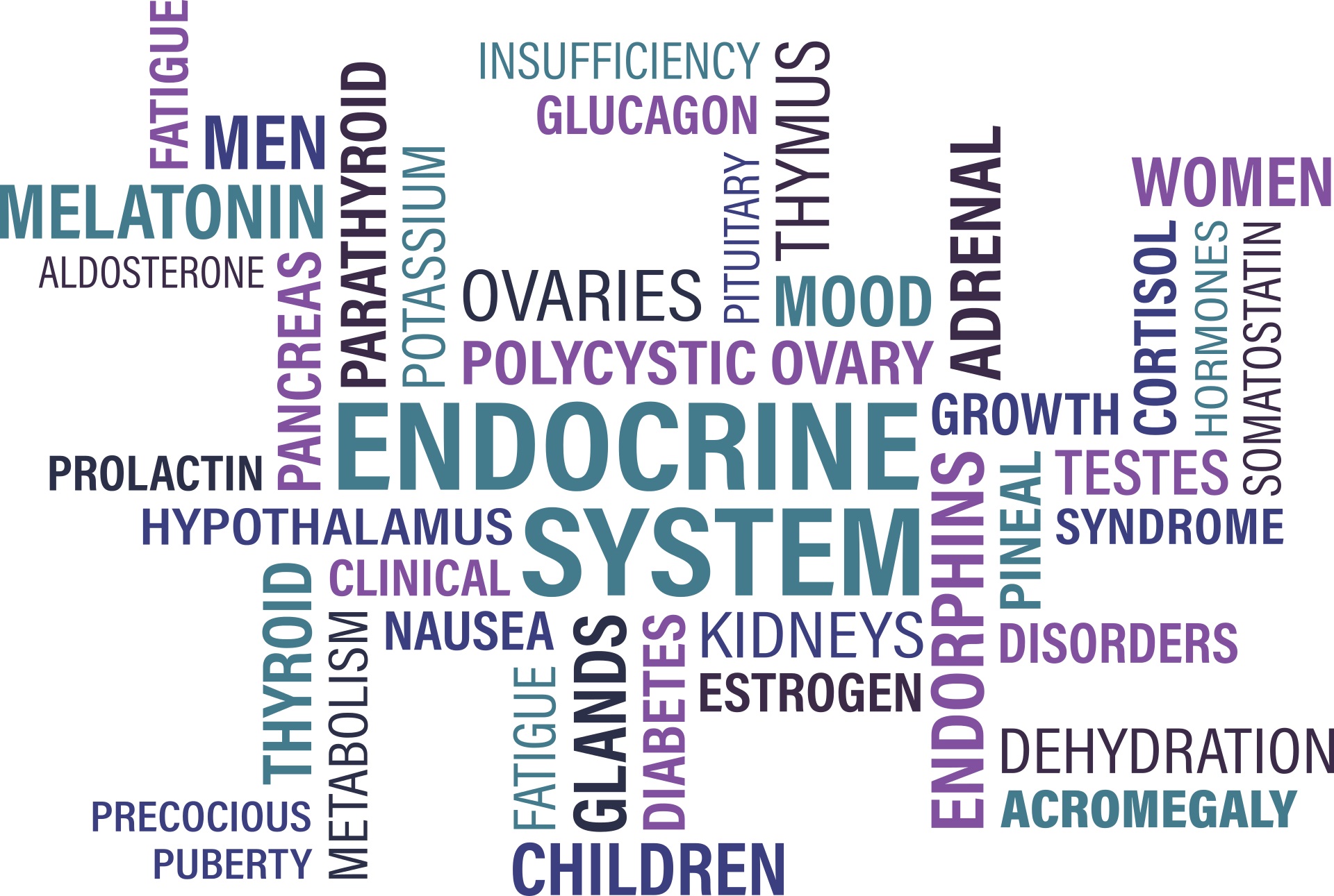 Endocrinología